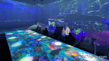 No VR headset needed: iChina to debut Silicon Valley's 1st virtual reality dining room in San Jose - KGO-TV