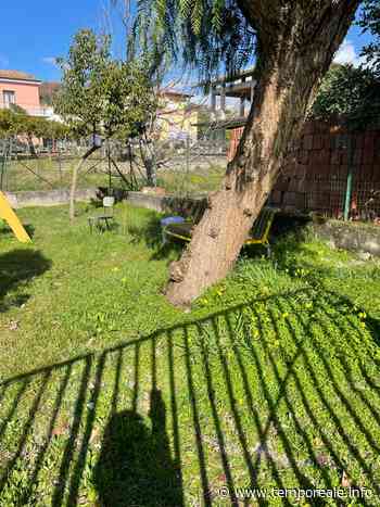 Minturno / Il gruppo locale di Fratelli d'Italia interviene sulla situazione delle scuole del territorio - Temporeale Quotidiano