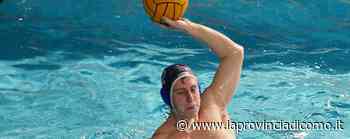 Pallanuoto Como ancora a 0 Con Monza è il terzo ko di fila - La Provincia di Como