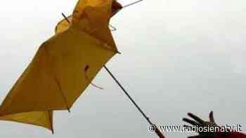 Codice giallo della Protezione Civile di Siena per vento forte - RadioSienaTv