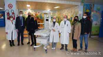 Siena, l'ospedale ha una nuova isola neonatale. Dono in memoria di Andrea Mari, 'Brio' - LA NAZIONE