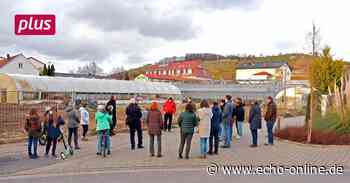 Neue Bürgerinitiative in Heppenheim gegründet - Echo Online