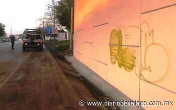 Educadora y alumno son detenidos por vandalizar puente - Diario de Xalapa