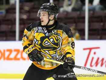 Sting suffer third straight loss to Firebirds | Sarnia & Lambton County This Week - Sarnia and Lambton County This Week