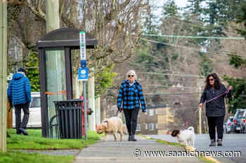 Esquimalt endorses active transportation network plan – Saanich News - Saanich News