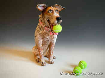 Multiple exhibits to be displayed by Hannibal Arts Council starting March 4 – Muddy River News - Muddy River News