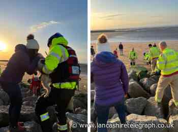 Coastguard and fire service sent to rescue dog trapped in rocks close to sea