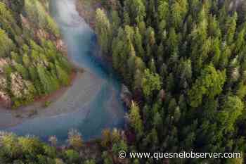 BC BUDGET: Province braces for shrinking forest industry, new lands ministry – Quesnel Cariboo Observer - Quesnel - Cariboo Observer