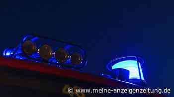 Rettungshund beißt in Giftköder und überlebt