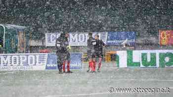 Rinvio Avellino - Catania, Baldini: "Dispiace per i tifosi e il viaggio a vuoto" - Ottopagine