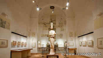 "16 anni ricchi di eventi ed esposizioni", la fondazione Tito Balestra ricorda il sodalizio con Ilario Fioravanti - CesenaToday