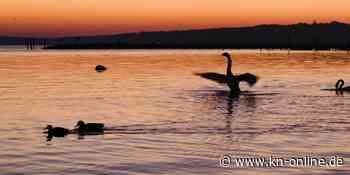 Nasser und warmer Norden mit recht viel Sonne: So fällt die Winter-Bilanz aus