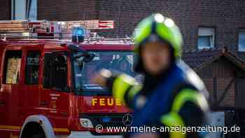 Holzstall im Nürnberger Tiergarten gerät in Brand