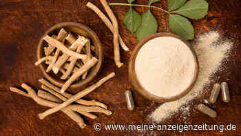 Ashwagandha: Darum sollten Sie das neue Superfood probieren