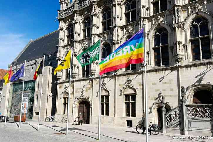 Oudenaarde hijst Europese en vredesvlag uit solidariteit met Oekraïne