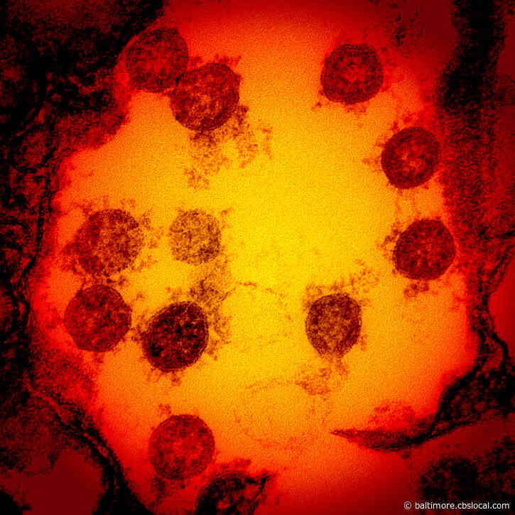 COVID-19 In Maryland: Hospitalizations Dip Below 400 Patients