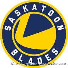 WHL: Saskatoon Blades double up on Moose Jaw Warriors - Pincher Creek Echo