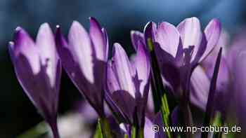 Jahreszeiten - Faktencheck: Wann ist der Frühling endlich da? - Neue Presse Coburg