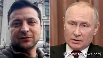 Kremlin sends 400 Russian mercenaries into Kyiv on mission to assassinate Zelenskyy: report