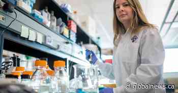 Long COVID app needs more Saskatchewan input