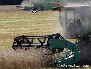 Charlebois: Ukraine conflict — the global agri-food industry is about to take a big hit and Canada won't be immune