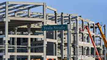 Elektro-Auto: Genehmigungsverfahren für Tesla-Fabrik in Schlussphase - Neue Presse Coburg