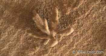 NASA Rover Spots Unreal Mars 'Flower' Formation     - CNET