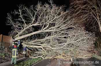 FW-DT: Zeynep beschäftigt Feuerwehr Detmold mit rund 100 Einsätzen - Presseportal.de