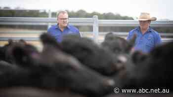 Australian farmers 'take the chockies' with most valuable year yet