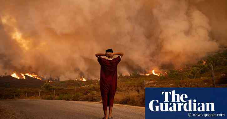 IPCC issues ‘bleakest warning yet’ on impacts of climate breakdown - The Guardian