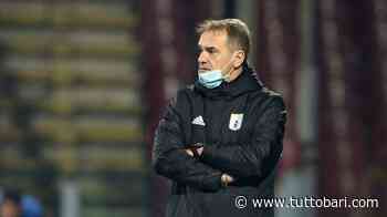 Il Catanzaro si avvicina. Giusto temere Vivarini oppure il Bari è più forte? Dibattito aperto - BARI CALCIO