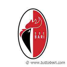 Derby, SSC Bari per la pace: il comunicato - BARI CALCIO