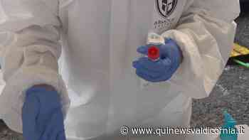 Covid-19, 61 nuovi casi nelle Valli Etrusche - Qui News Valdicornia