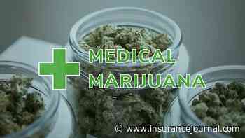 Supreme Court Asked to Resolve Federal Drug Law v. State Medical Marijuana Laws Debate - Insurance Journal