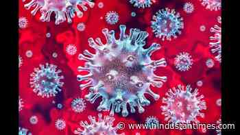 Coronavirus spread drops significantly in Haryana after January’s peak period - Hindustan Times