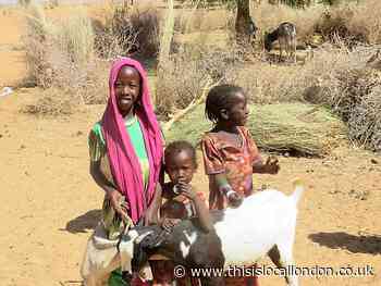 How the Kids for Kids’ Goat Loan is Saving Lives in Darfur- Avneet Sapal Bancrofts
