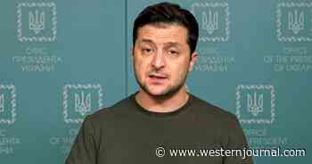 Six American Special Ops Vets Take Up Zelenskyy's Offer to Join New Unit of Foreign Fighters for Ukraine