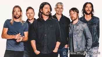 Foo Fighters – Live at Madison Square Garden – Neues Video - MusikBlog