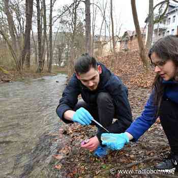 Forschung zum Mitmachen: Uni Jena sucht Bakterienjäger - Radio Bonn / Rhein-Sieg - radiobonn.de