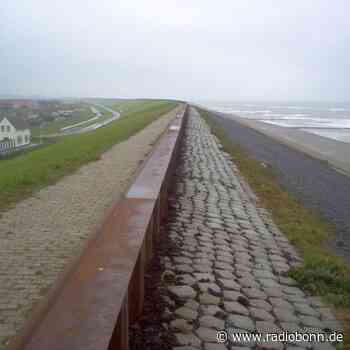 Wenn Klima-Maßnahmen alles noch schlimmer machen - Radio Bonn / Rhein-Sieg - radiobonn.de