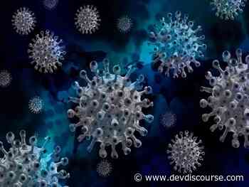 Brazil registers 19,516 new cases of coronavirus, 199 deaths - Devdiscourse