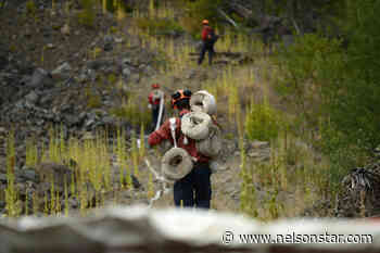 Climate change report a grim warning for Canada - Nelson Star