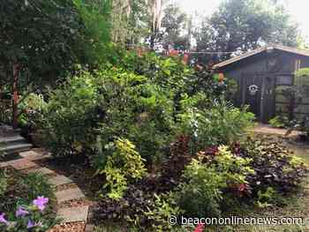 Master Gardener Plant Faire set for March 19 - The West Volusia Beacon