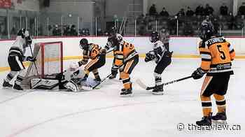 Cougars earn road win against Gatineau-Hull to force deciding Game 5 this Friday - The Review Newspaper