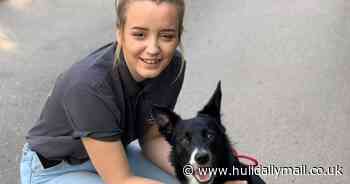 The young Hull mum desperate to see her beloved 'best pal' Bella again - Hull Live