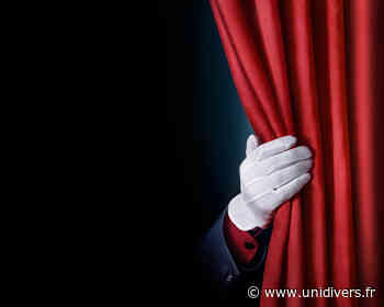 Théâtre d’improvisation Dax dimanche 8 mai 2022 - Unidivers