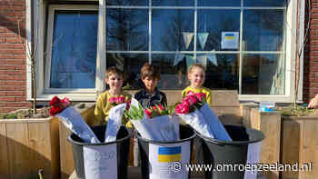 Kinderen uit Breskens verkopen tulpen om geld op te halen voor Oekraïne - Omroep Zeeland