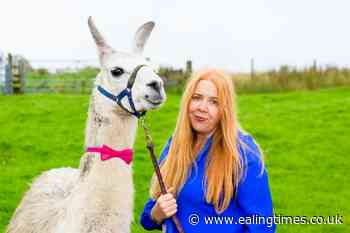 Sustainability skills programme for small businesses launched in wake of COP26 - Ealing Times