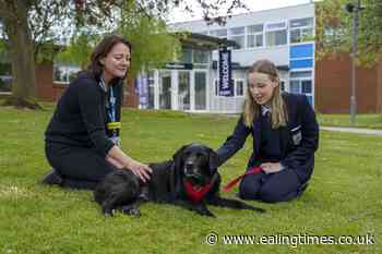 Girls' mental health 'at a precipice' – report - Ealing Times
