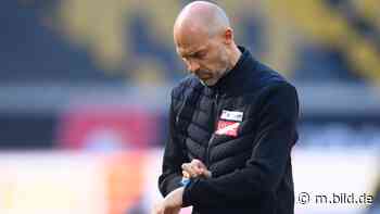 Dynamo Dresden: Trainer Alexander Schmidt vor dem Aus! - BILD